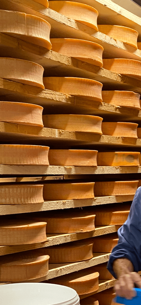 fromage à pâte pressée cuite